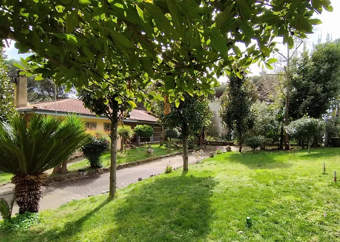 Vivas Rubra Acomodação com café da manhã  Roma
